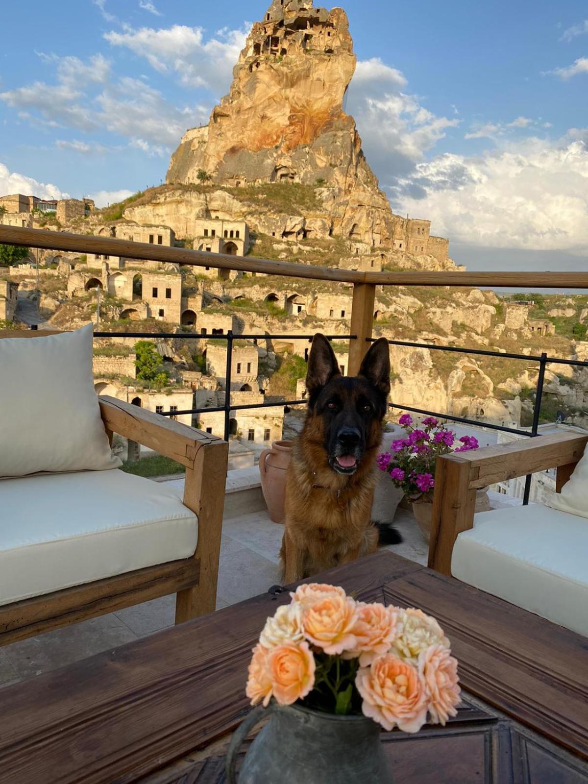 Vie Cappadocia - Adults Only Hotel Невшехир Екстериор снимка